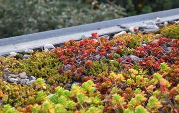 the cost of Trevigro green roof installation