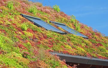 Trevigro living roof systems