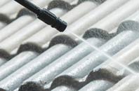 rated Trevigro roof cleaning companies